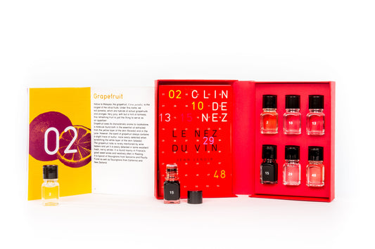 Le Nez du Vin - Wine Aroma Kit by Jean Lenoir - The Nose Knows 6 Aromas